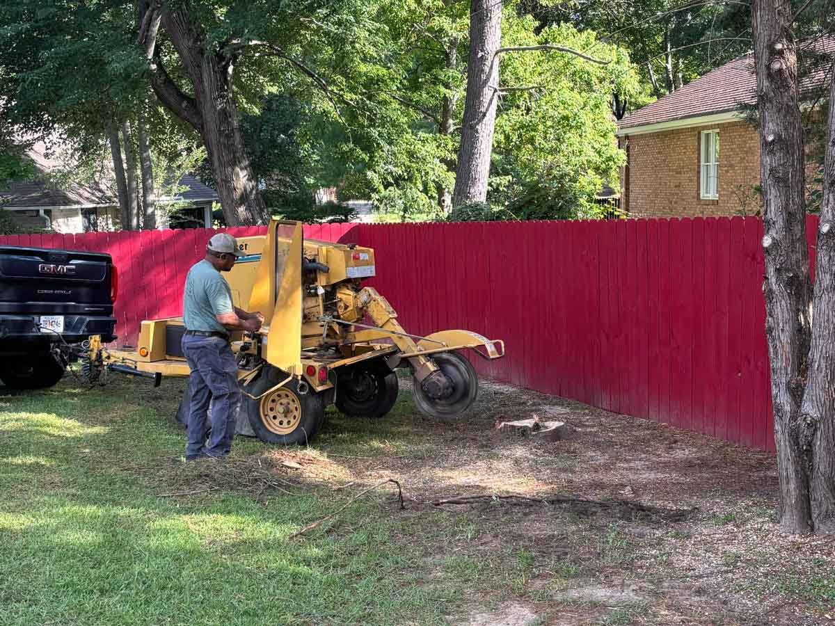 El Costeño Tree Service LLC